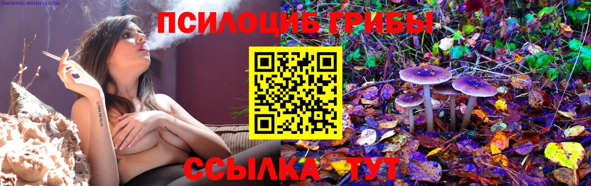 Галлюциногенные грибы MAGIC MUSHROOMS  Вход с VPN  Кизилюрт 