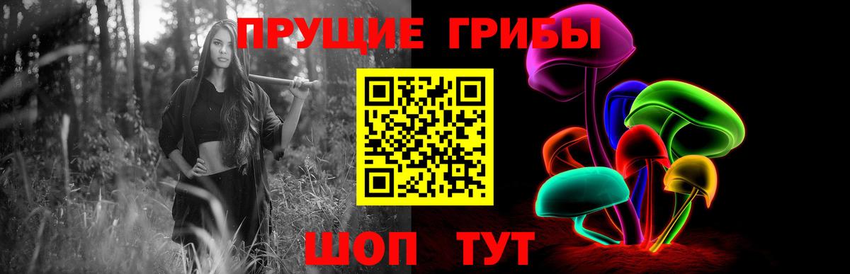 Псилоцибиновые грибы Cubensis Кизилюрт